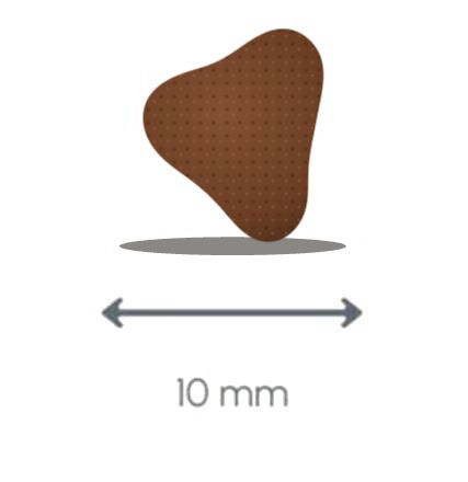 Croquette Protect Care 8+ chat, 10 mm