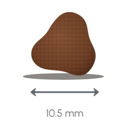 Croquette Protect Digest chat, 10,5 mm