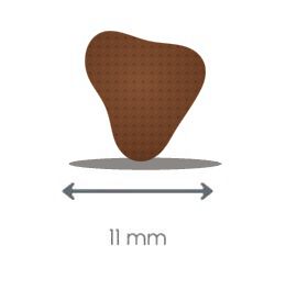 Croquette Protect Digest Puppy, 11 mm