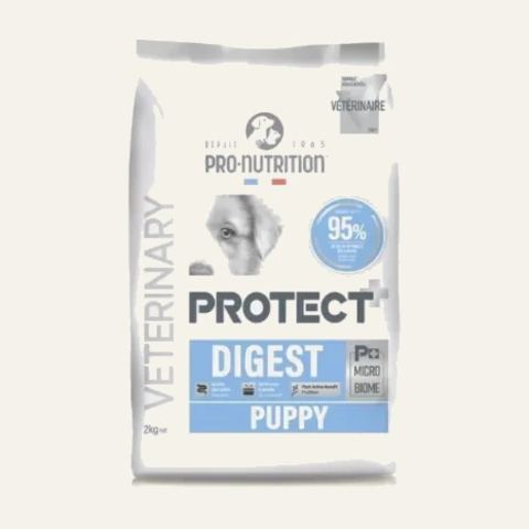 Protect Digest Puppy