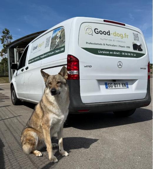 La camionnette Good-dog.fr, livraison en direct