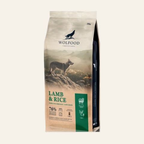 Adult Lamb